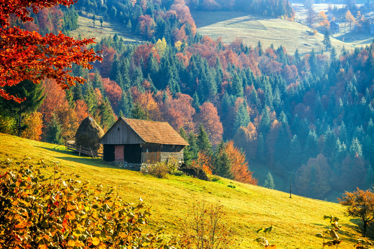DRUMETIE in culorile toamnei – Sirnea, Valea Seaca, Cabana Brusturet 10.10.2026